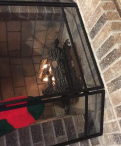 Real Flame Gel Fuel Cans - 12-Pack - Gelled Isopropyl Alcohol for Indoor or Outdoor Fireplaces 38 81lGchq0w3L 1