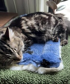 MidWest Homes for Pets Reversible Paw Print Pet Bed in Blue / White, Dog Bed Measures 17L x 11W x 1.5H for 'Tiny' Dog Breed, Machine Wash 17.0"L x 11.0"W x 1.5"Th 27 81lJx7AMxuL