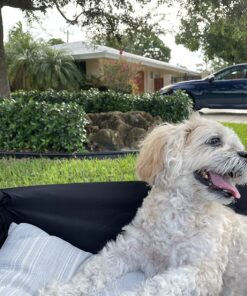 MacSports Collapsible Folding Outdoor Utility Wagon, Black 44 81lO1jdefqL