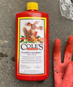 Cole's FS16 Flaming Squirrel Seed Sauce, 16-Ounce 1 24 81lSXJMxyJL