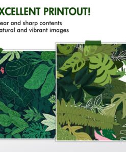 902XL Ink Cartridges Replacement for HP 902XL Ink Cartridges to use with OfficeJet Pro 6978 6960 6968 6958 6950 6970 6962 Printers (902XL Ink Cartridges Combo Pack, Black Cyan Magenta Yellow) 16 81lT7fvm1pL