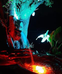 VIVOSUN 800GPH Submersible Pump(3000L/H, 24W), Ultra Quiet Water Fountain Pump with 10ft. High Lift with 6.5ft. Power Cord, 3 Nozzles for Fish Tank, Pond, Aquarium, Statuary, Hydroponics Green 24 81lTzHEs5UL