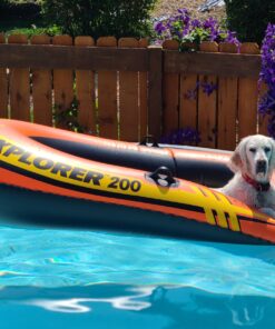 INTEX Explorer Inflatable Boat Series: Dual Air Chambers – Welded Oar Locks – Grab Handles – Bow Rope – Sporty Design Explorer 200 37 81lVwYwqPkL