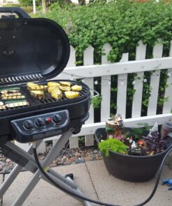 Coleman Swaptop Cast Iron Griddle & Grill Grate for RoadTrip Grills, 142 Sq. In. Cooking Area with Easy-to-Clean Cast Iron Construction, Great for Camping, Tailgating, Home, & More 11 81lWoPjyBeL