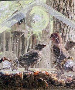 Nature Gear Window Bird Feeder - Refillable Sliding Tray - Weather Proof - Snow and Squirrel Resistant - Drains Rain Water - See Songbirds from Home! (House Style) (House Model) House 35 81lXPSA5YlL