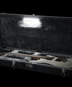 Gator Cases Deluxe ABS Molded Case for Strat/Tele Style Electric Guitar with Internal LED Lighting (GC-ELECTRIC-LED),Black 31 81lbkzpXMaL