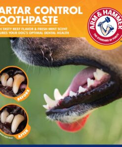 Arm & Hammer for Pets Tartar Control Enzymatic Toothpaste for Dogs | Reduces Plaque & Tartar Buildup | Safe for Puppies | Beef Flavor, 2.5 Ounces Dog Toothpaste Tartar Control - Beef 2.5 Ounce (Pack of 1) 25 81lcqpQKQsL