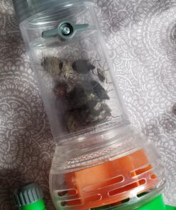 Nature Bound Bug Catcher Toy, Eco-Friendly Bug Vacuum, Catch and Release Indoor/Outdoor Play, Ages 6+ Retail Packaging 32 81ldMnOPJQL