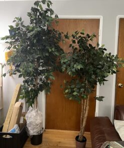 Nearly Natural 7ft. Ficus Artificial Tree, Green 84 in Trees 37 81lgL7pDOxL