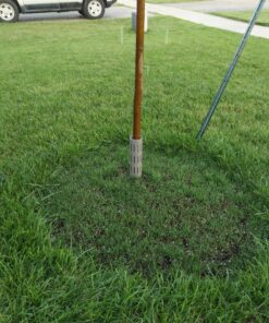 EasyFlex 1131-6C Tree Trunk Protector, 6 Count (Pack of 1), Gray 6 Count (Pack of 1) 37 81lhh3uYD4L