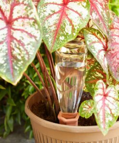 Alternative view of 6 Pack Self Watering Planter Insert Spikes, Stakes for Indoor and Outdoor Plants, Garden (Terracotta Color, 7 in)