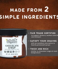 Wildly Organic Chocolate Syrup - Certified Organic Vegan Fair Trade Non-GMO Kosher - 2 Ingredient - 20 Oz. 1.25 Pound (Pack of 1) 13 81liP4MvcsL