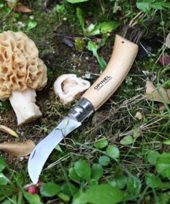 Opinel No. 08 Mushroom Knife – Pick + Clean Mushrooms, Beechwood Handle, Integrated Brush, Curved Sandvik Steel Blade, Made in France 25 81lizW6Ap3L