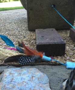 Easy Gardener 21041MJ 3-Foot by 50-Foot 15 Year Landscape Fabric 16 81ljUcnW uL