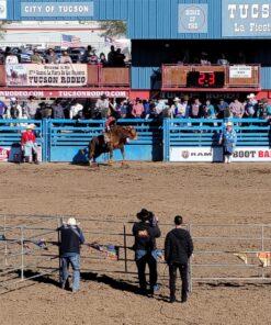 Canon EW-63C Lens Hood For EF-S 18-55mm f/3.5-5.6 IS STM Lens 8268B001 Single 17 81lkhgC7dL