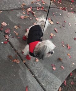 Gooby Padded Vest Dog Jacket - Red, Medium - Warm Zip Up Dog Vest Fleece Jacket with Dual D Ring Leash - Winter Water Resistant Small Dog Sweater - Dog Clothes for Small Dogs Boy and Medium Dogs Medium chest (18.25") 1 34 81ll1iSOfL