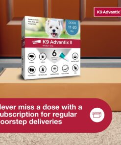 K9 Advantix II Medium Dog Vet-Recommended Flea, Tick & Mosquito Treatment & Prevention | Dogs 11-20 lbs. | 6-Mo Supply 6 Pack Medium Dog only 26 81lmxkI6y6L