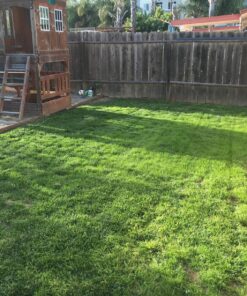 Hydro Mousse Liquid Lawn System - Grow Grass Where You Spray It - Made in USA High Performance Grass Blend 32 81lnrKwWvIL