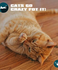 Our Pets Premium Catnip - 1.25 oz Jar of High Potency Catnip - 100% North American Grown 1.25 oz. 22 81lnvLUa1yL