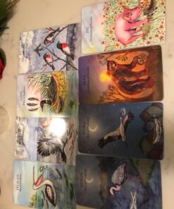 The Animal Wisdom Tarot: An inspirational guide to using tarot cards and their meanings 31 81lrGjvKFxL