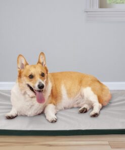 Furhaven Water-Resistant Dog Bed for Large/Medium Dogs w/ Removable Washable Cover, Perfect for Crates & Kennels, For Dogs Up to 70 lbs - Two-Tone Reversible Crate Pad - Green/Gray, Large 36.0"L x 24.0"W x 1.3"Th 22 81ltLqFd5L