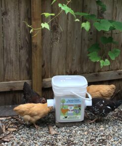 RentACoop 20 Pounds BPA-Free Chicken Feeder with Large Ports - Includes Lid, Anti-Roost Cone, Rain Hoods - Suitable for Chickens - Center Placement 34 81lzdr2PglL