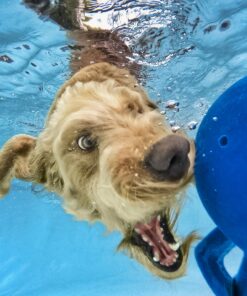 GoPro HERO+ (Wi-Fi Enabled) 26 81m YnpJeYL