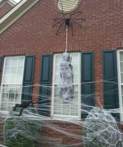 Fun World Costumes Spider Web Decoration Standard 25 81m40nk9kvL