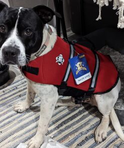 Paws Aboard Dog Life Jacket - Keep Your Canine Safe with a Neoprene Designer Life Vest - Perfect for Swimming and Boating - Red, Medium 30 81m4lLODMjL