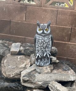 Dalen Fake Owl Decoy to Scare Birds Away from Gardens, Rooftops, and Patios - Scarecrow Provides Chemical-Free Pest Control - Safe and Humane, 16" Great Horned Owl 33 81m5oqP6KL