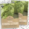 Organic Iceberg Lettuce Seeds ‘Crispino’ – Two Seed Packets! – Over 600 Open Pollinated Non-GMO Seeds – Sweet Yards Seed Co. Two-Pack