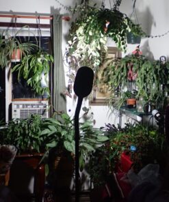 Lavish Home (72-0890) 5 Feet Sunlight Floor Lamp With Adjustable Gooseneck - Black 28 81m65 7P5hL