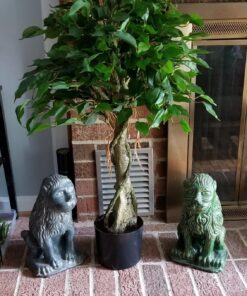 Nearly Natural 5383 3ft. Ficus Tree UV Resistant (Indoor/Outdoor),Green,Small 23 81mAkU2BVPL
