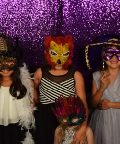 Fun Express Deluxe Feather Mask Assortment (1 Dozen)(Discontinued by manufacturer) 24 81mCH0zILGL