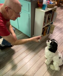 Old Mother Hubbard by Wellness Classic Original Mix Natural Dog Treats, Crunchy Oven-Baked Biscuits, Ideal for Training, Mini Size, 3.8 pound bag Treats (3.8 lb) 3.8 Pound (Pack of 1) 41 81mFS3V06WL