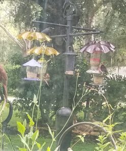 Perky-Pet 101-5 Wild Bird Feeder, Hammered Copper Color Versatile 18 81mIl53XL0L