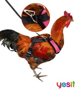 Yesito Chicken Harness Hen Size with 6-Foot Matching Belt, Comfortable, Breathable, Small Size, Suitable for Chicken, Duck or Goose Suitable for Weight About 2.3-3.8Pounds, Green (Months, Pink) Medium 13 81mJJVVtAL