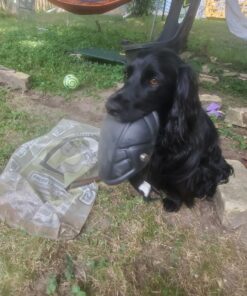 McGuire-Nicholas - 1MN-350 Tuff Shell Knee Pads | Lightweight Ergonomic Design Lined with High Density EVA Foam | All-Weather Knee Pads for Flooring, Construction, Painting, Welding, Plumbing,black 17 81mJOt3cORL