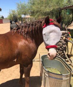 SuperMask II Fly Mask Without Ears for Average Size Horses, Full Face Coverage and Eye Protection from Insect Pests, Structured Classic Styling Mesh with Plush Trim, Horse Size 23 81mLCXE0KvL
