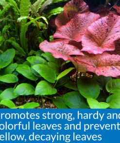 API LEAF ZONE Freshwater Aquarium Plant Fertilizer 18-Ounce Bottle White 16oz 29 81mNITDh5HL