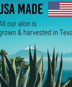 Aloe Vera Gel for Skin Care | Pure Aloe Vera | Real 100 Aloe Vera Gel for Face, Skin, Hair Care, Daily Moisturizer, Aftershave lotion, Sunburn Relief Aloevera - Alcohol Free - 8 Ounce, By Green Leaf 8 Fl Oz (Pack of 1) 22 81mNaqneaCL 1