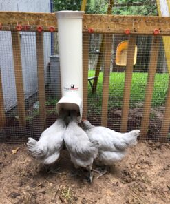 Royal Rooster Automatic Chicken Feeder with Gravity Feed Dispenser - 7lb Feeder for Chickens, Chicks & Mixed Poultry - Hanging Chicken Poultry Feeder - Auto PVC Chicken Poultry Feeder with Rain Cover 39 81mP06dt98L