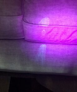 BUBBAS Super Strength Enzyme Cleaner - Pet Odor Eliminator - Carpet Stain Remover - Remove Dog & Cat Urine Odor from Mattress, Sofa, Rug, Laundry, Hardwood Floors and more. Puppy Training Supplies 32 Fl Oz (Pack of 1) 27 81mPFaoTCML