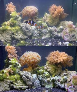 Fluval Spec/Evo/Flex Activated Carbon, Replacement Aquarium Filter Media, 3-Pack, A1377,Black Evo/Spec/Flex 10 81mQUy4AtnL