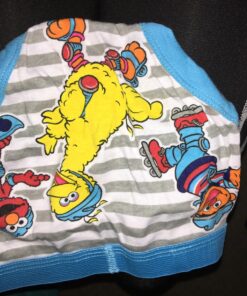 Sesame Street Boys' 100% Combed Cotton Briefs Multipacks with Favorites Like Elmo, Cookie Monster & Big Bird in 18m, 2/3t, 4t 2-3T 7-pack 26 81mRDEpIO2L