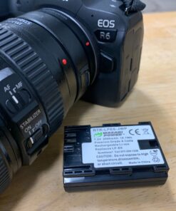 Wasabi Power LP-E6, LP-E6N Battery (2-Pack) and Charger for Canon EOS 5D Mark II/III/IV, 5DS, 5DS R, 6D, 6D Mark II, 7D, 7D Mark II, 60D, 70D, 80D, 90D, R, R5, R6, Ra, XC10, XC15, BMPCC 4K, BMPCC 6K 2 Batteries + Charger 37 81mUYZq3zmL