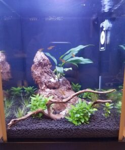 Fluval SPEC Freshwater Aquarium Kit, Aquarium with LED Lighting and 3-Stage Filtration, 2.6 Gallon, Black, Large Breeds 2.6 Gal. 44 81mUmhkHgNL