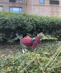 Apple AirTag 44 81mUy6k8kkL