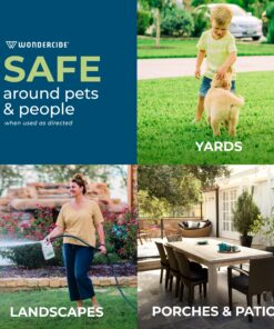 Wondercide - EcoTreat Outdoor Pest Control Spray Concentrate with Natural Essential Oils - Mosquito, Ant, Roach, and Insect Killer, Treatment, and Repellent - Safe for Pets, Plants, Kids - 16 oz 21 81mVObvWy5L