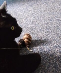 Go Cat Refill - Cat Catcher Mouse Toy Accessory Single 1 Mouse 20 81mWrUILzEL